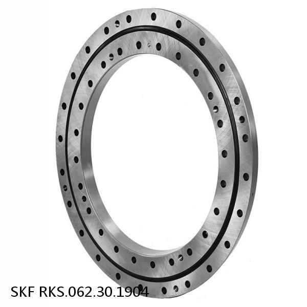 RKS.062.30.1904 SKF Slewing Ring Bearings