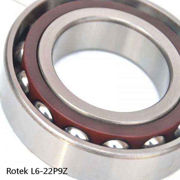 L6-22P9Z Rotek Slewing Ring Bearings