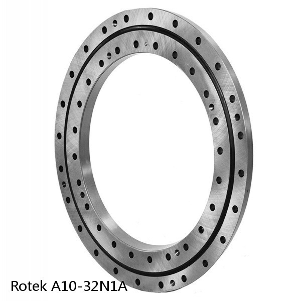 A10-32N1A Rotek Slewing Ring Bearings