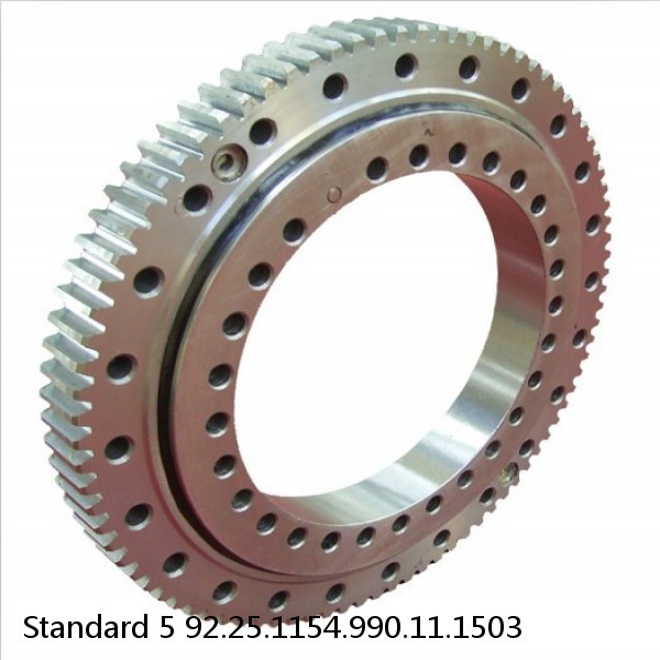 92.25.1154.990.11.1503 Standard 5 Slewing Ring Bearings