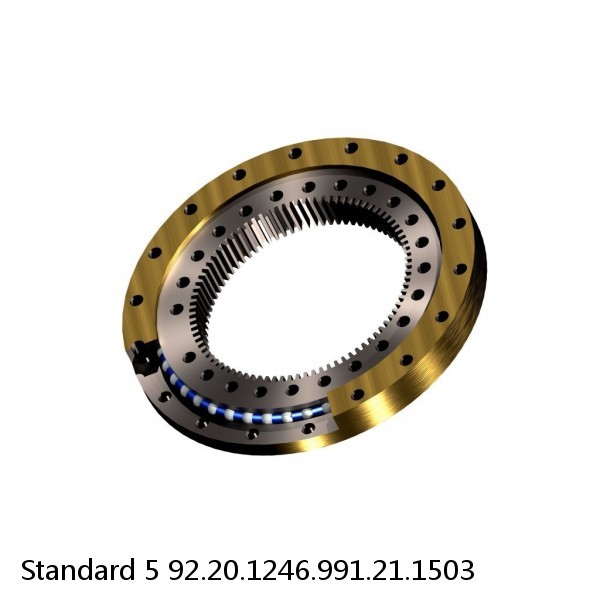 92.20.1246.991.21.1503 Standard 5 Slewing Ring Bearings