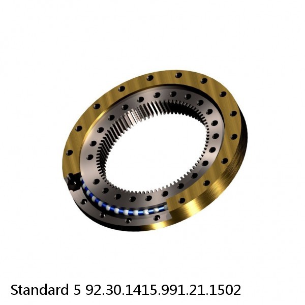 92.30.1415.991.21.1502 Standard 5 Slewing Ring Bearings