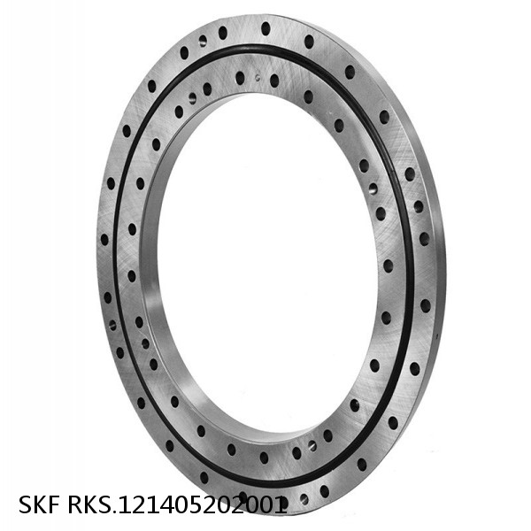 RKS.121405202001 SKF Slewing Ring Bearings