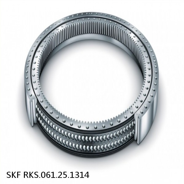 RKS.061.25.1314 SKF Slewing Ring Bearings