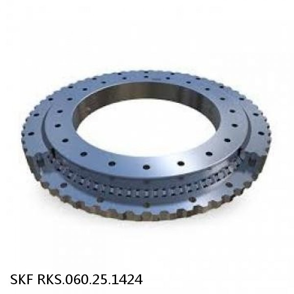 RKS.060.25.1424 SKF Slewing Ring Bearings