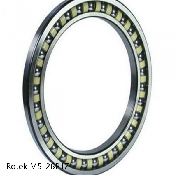 M5-26P1Z Rotek Slewing Ring Bearings