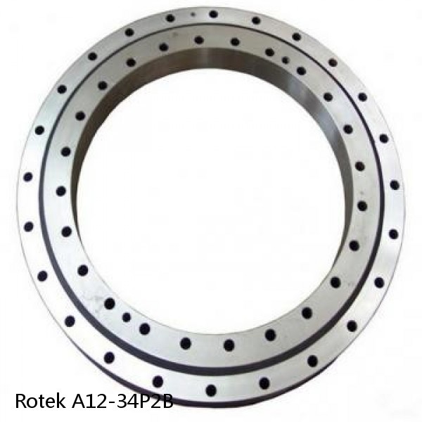 A12-34P2B Rotek Slewing Ring Bearings