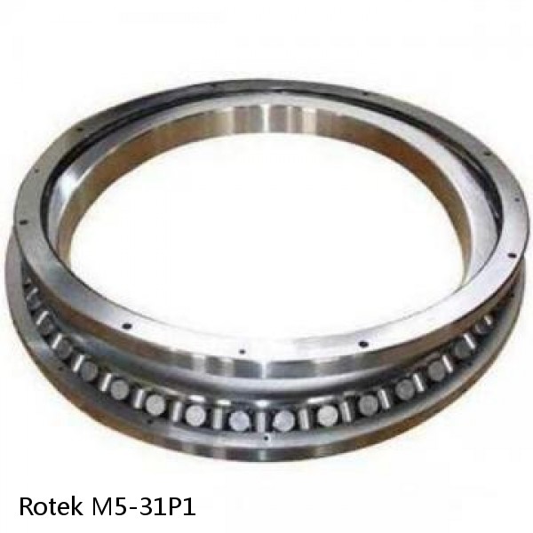 M5-31P1 Rotek Slewing Ring Bearings