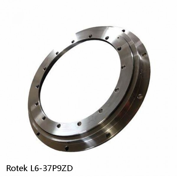 L6-37P9ZD Rotek Slewing Ring Bearings