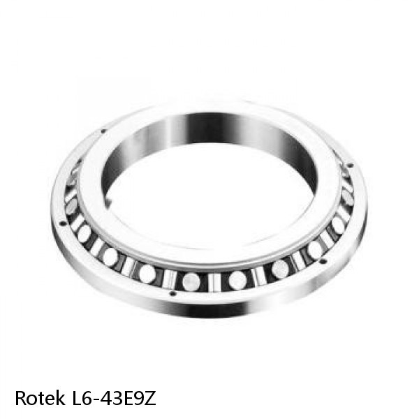 L6-43E9Z Rotek Slewing Ring Bearings