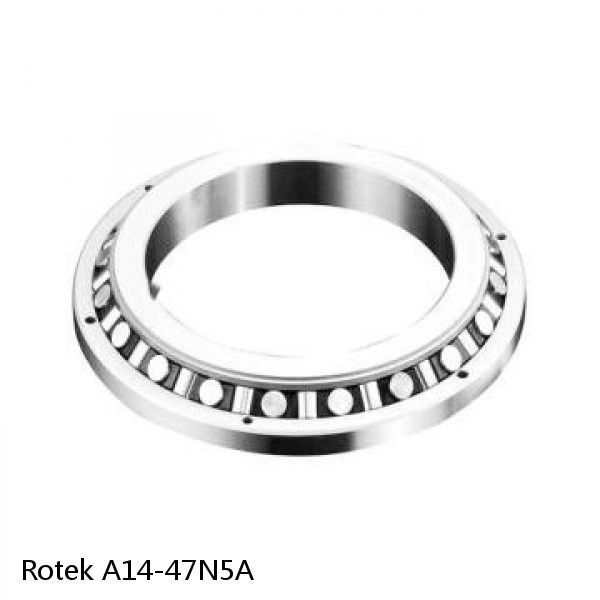 A14-47N5A Rotek Slewing Ring Bearings