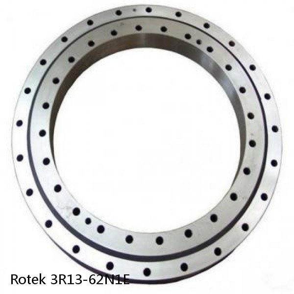 3R13-62N1E Rotek Slewing Ring Bearings