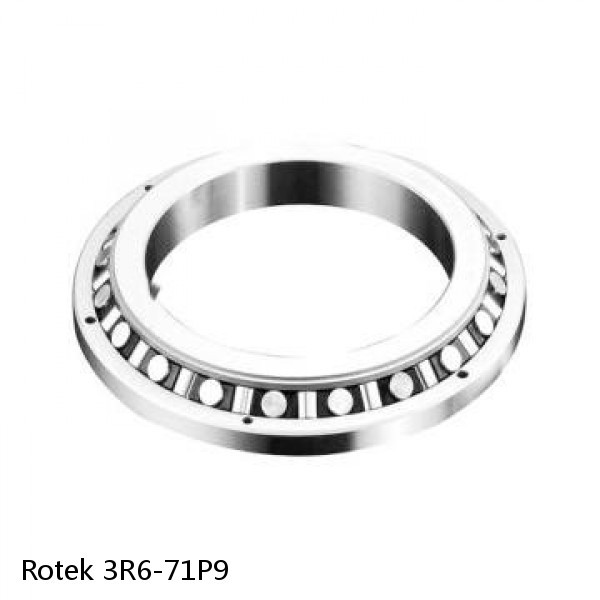 3R6-71P9 Rotek Slewing Ring Bearings