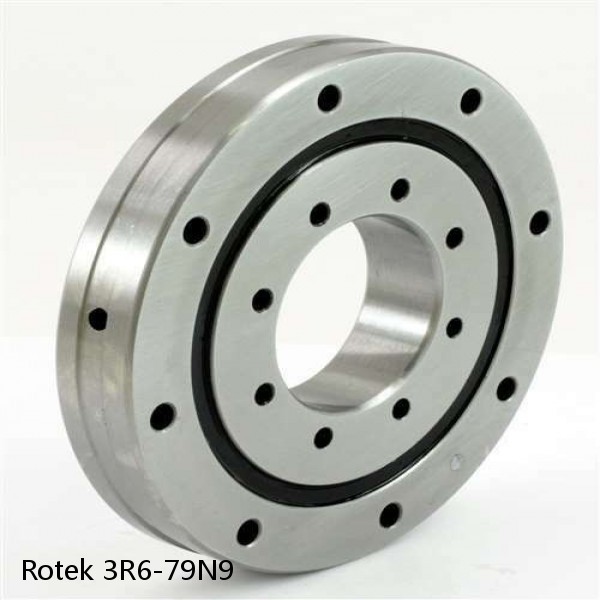 3R6-79N9 Rotek Slewing Ring Bearings