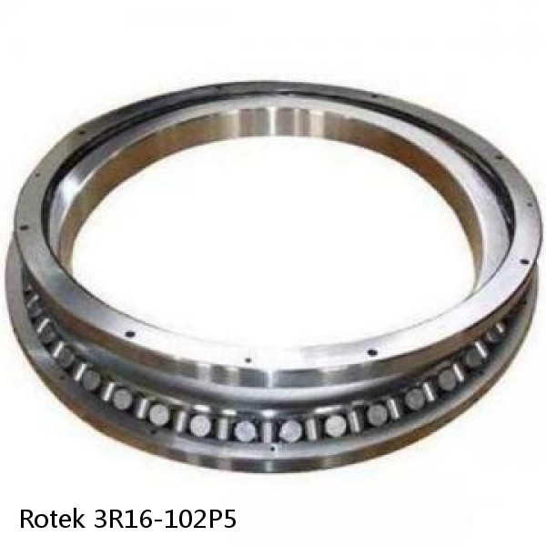 3R16-102P5 Rotek Slewing Ring Bearings