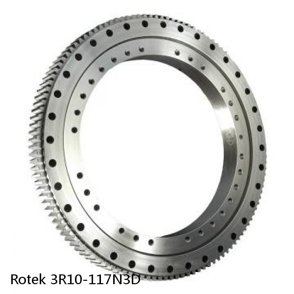 3R10-117N3D Rotek Slewing Ring Bearings