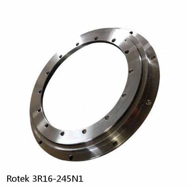 3R16-245N1 Rotek Slewing Ring Bearings