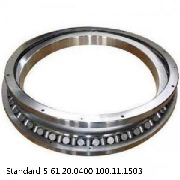 61.20.0400.100.11.1503 Standard 5 Slewing Ring Bearings