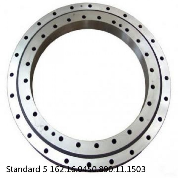 162.16.0450.890.11.1503 Standard 5 Slewing Ring Bearings