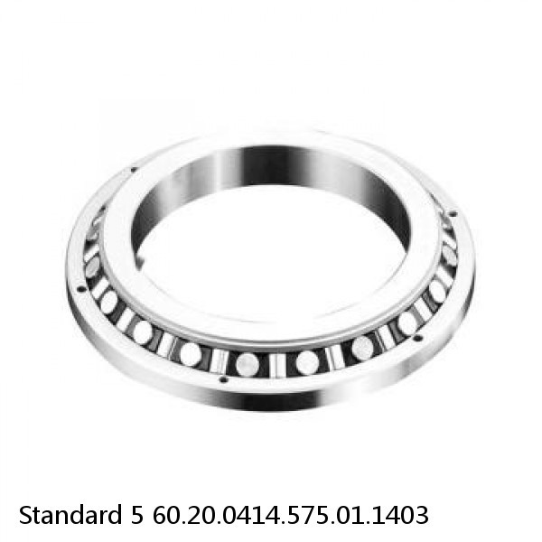 60.20.0414.575.01.1403 Standard 5 Slewing Ring Bearings