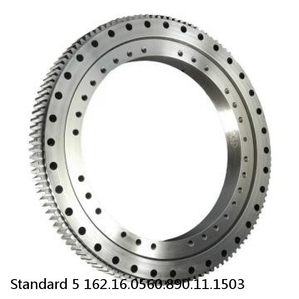 162.16.0560.890.11.1503 Standard 5 Slewing Ring Bearings