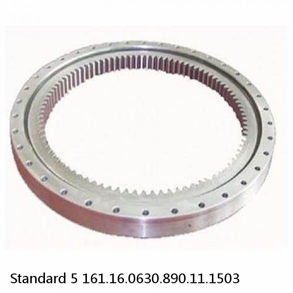 161.16.0630.890.11.1503 Standard 5 Slewing Ring Bearings