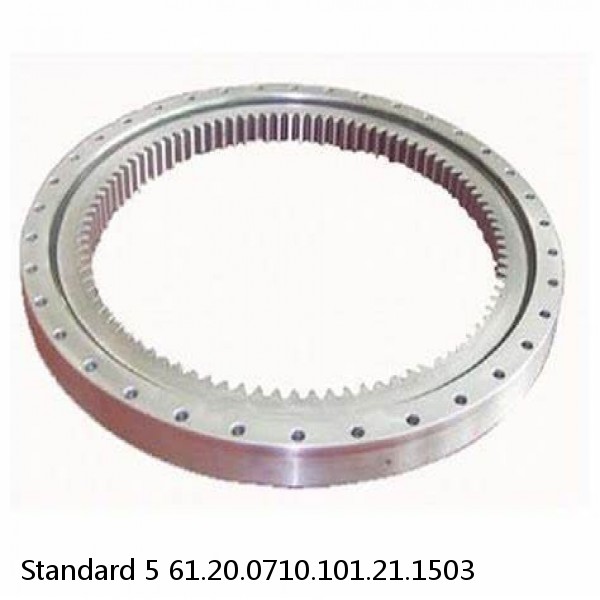 61.20.0710.101.21.1503 Standard 5 Slewing Ring Bearings