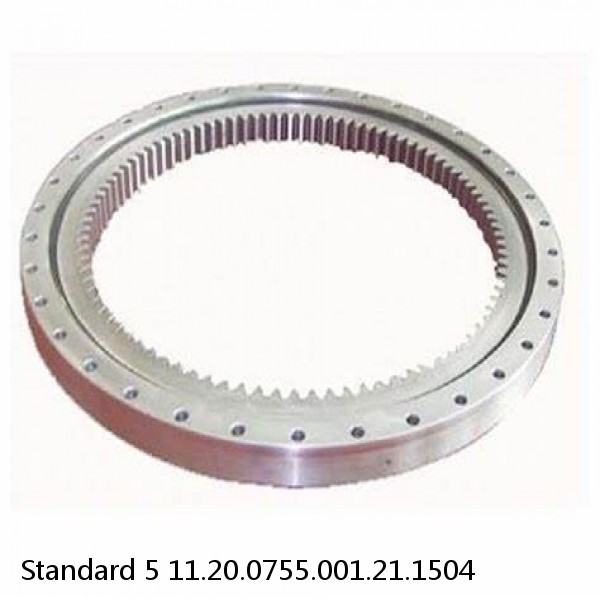 11.20.0755.001.21.1504 Standard 5 Slewing Ring Bearings