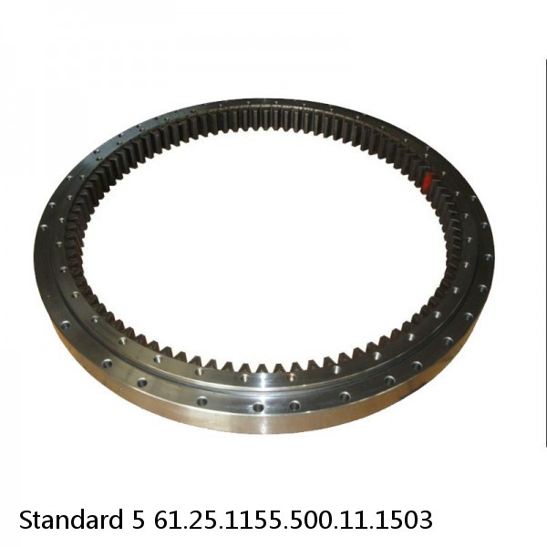 61.25.1155.500.11.1503 Standard 5 Slewing Ring Bearings