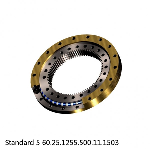 60.25.1255.500.11.1503 Standard 5 Slewing Ring Bearings