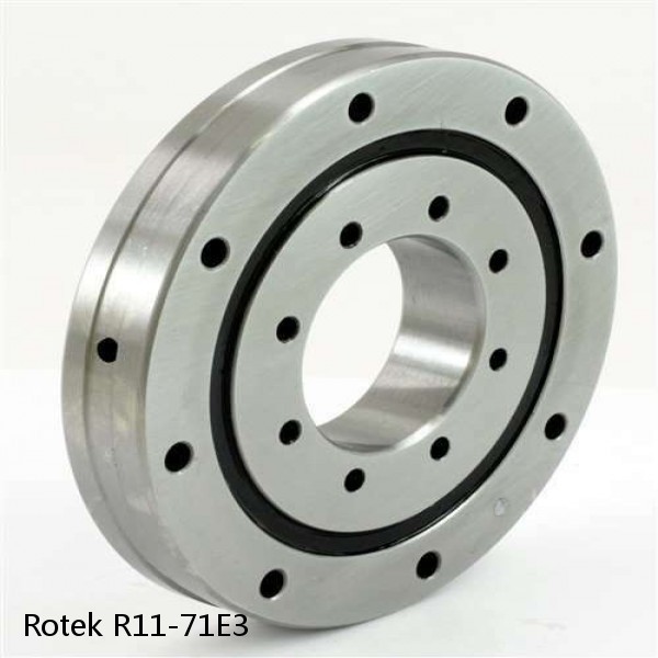 R11-71E3 Rotek Slewing Ring Bearings