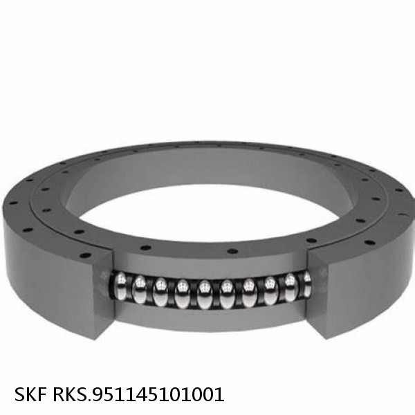 RKS.951145101001 SKF Slewing Ring Bearings