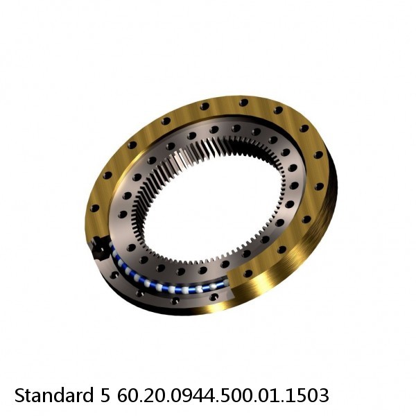 60.20.0944.500.01.1503 Standard 5 Slewing Ring Bearings