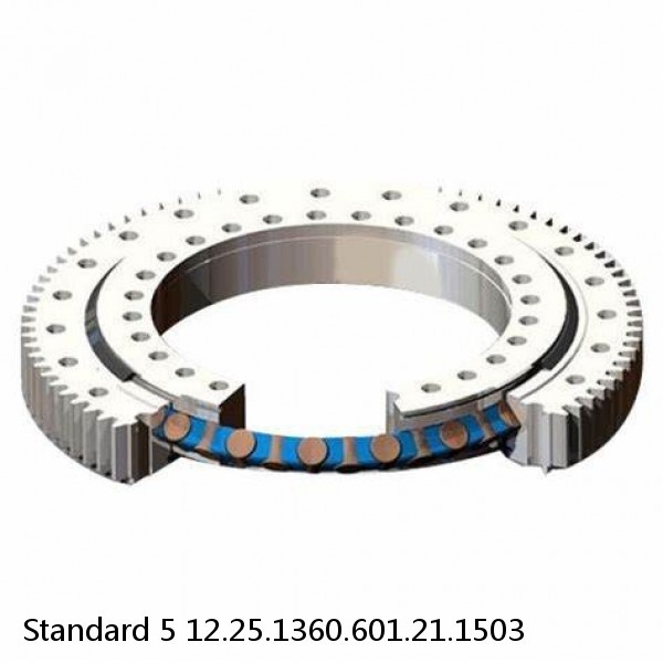 12.25.1360.601.21.1503 Standard 5 Slewing Ring Bearings