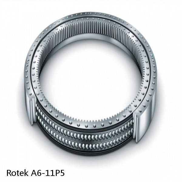 A6-11P5 Rotek Slewing Ring Bearings