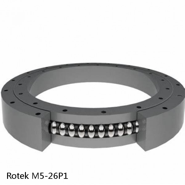 M5-26P1 Rotek Slewing Ring Bearings