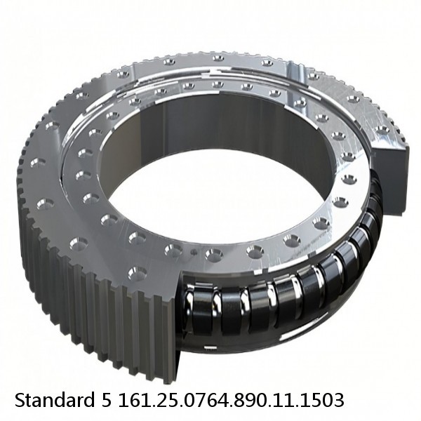 161.25.0764.890.11.1503 Standard 5 Slewing Ring Bearings