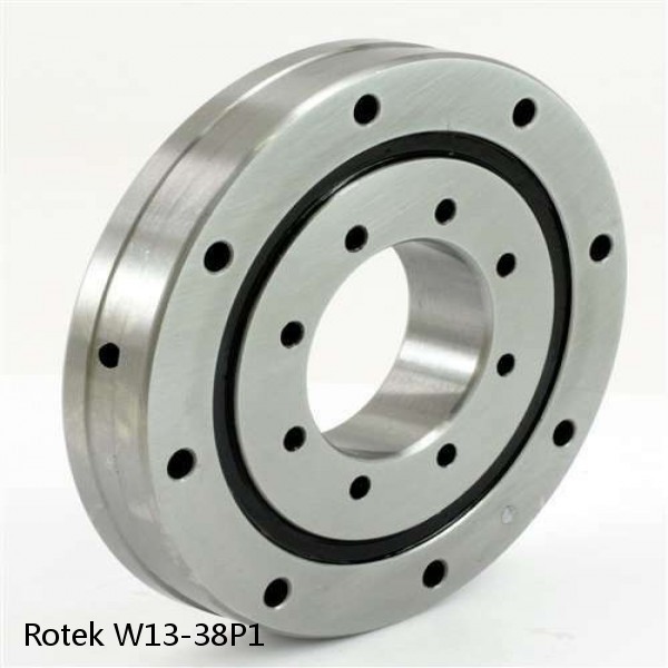 W13-38P1 Rotek Slewing Ring Bearings