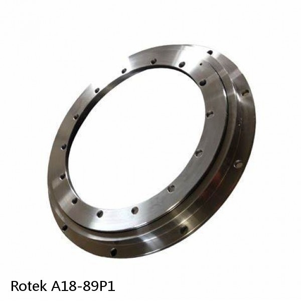 A18-89P1 Rotek Slewing Ring Bearings