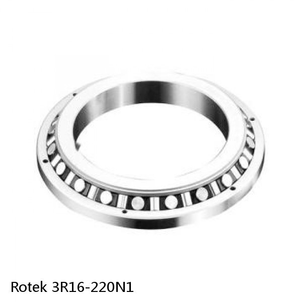 3R16-220N1 Rotek Slewing Ring Bearings