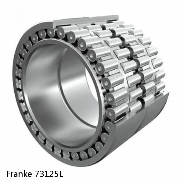 73125L Franke Slewing Ring Bearings