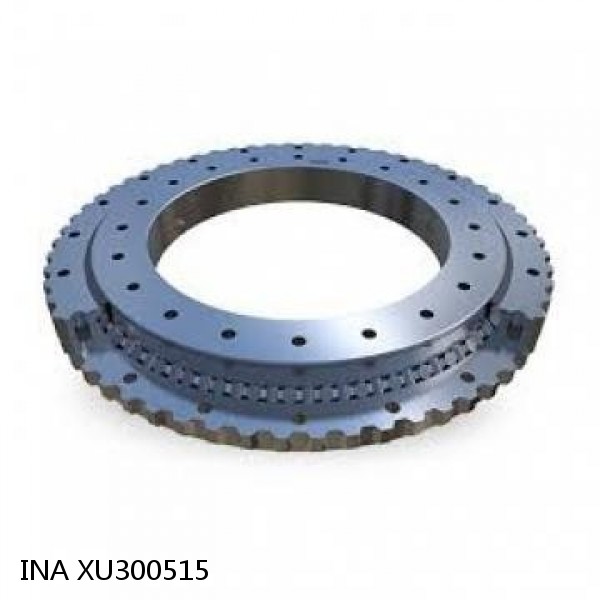 XU300515 INA Slewing Ring Bearings