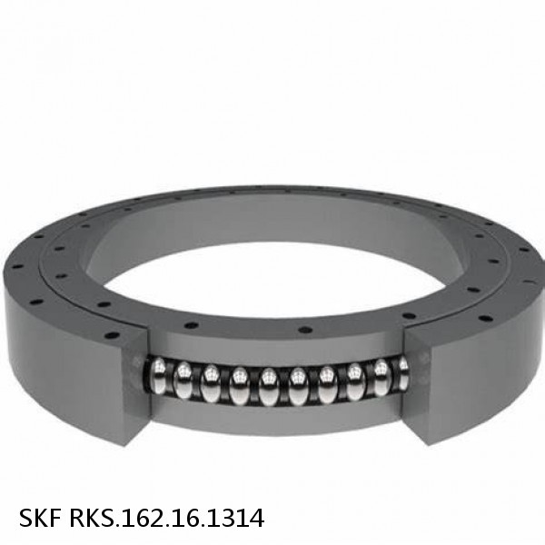 RKS.162.16.1314 SKF Slewing Ring Bearings