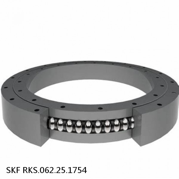 RKS.062.25.1754 SKF Slewing Ring Bearings