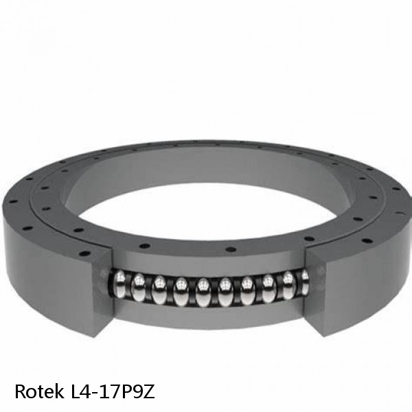 L4-17P9Z Rotek Slewing Ring Bearings