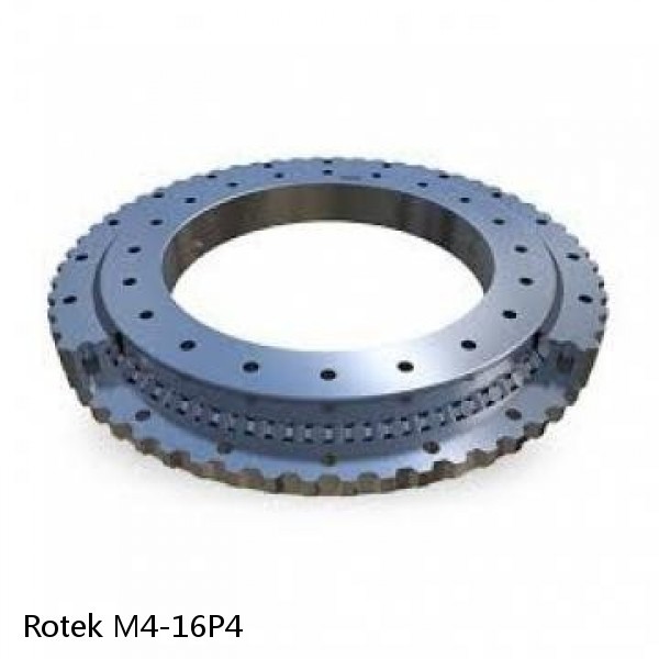 M4-16P4 Rotek Slewing Ring Bearings