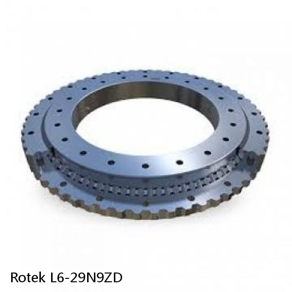 L6-29N9ZD Rotek Slewing Ring Bearings