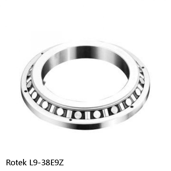 L9-38E9Z Rotek Slewing Ring Bearings