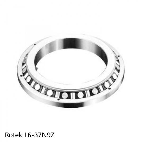 L6-37N9Z Rotek Slewing Ring Bearings