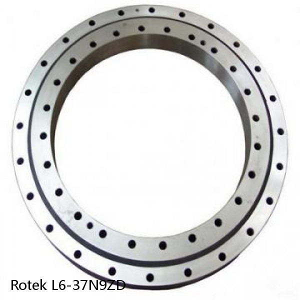 L6-37N9ZD Rotek Slewing Ring Bearings